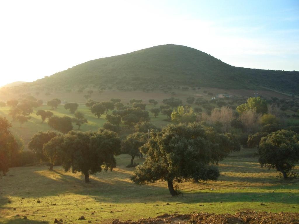 El Hoyo Cortijo El Criadero חדר תמונה
